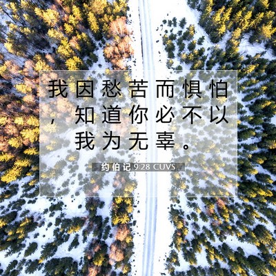 Picture 07 - 约 伯 记 9:28 CUVS - 我 因 愁 苦 而 惧 怕 ， 知 道 你 必 - Bible Verse Picture