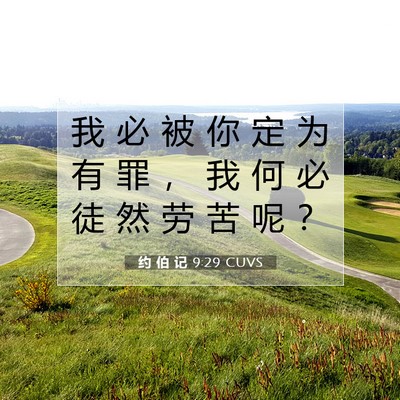 Picture 07 - 约 伯 记 9:29 CUVS - 我 必 被 你 定 为 有 罪 ， 我 何 必 - Bible Verse Picture