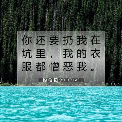Picture 07 - 约 伯 记 9:31 CUVS - 你 还 要 扔 我 在 坑 里 ， 我 的 衣 - Bible Verse Picture