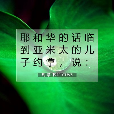 Picture 07 - 约 拿 书 1:1 CUVS - 耶 和 华 的 话 临 到 亚 米 太 的 儿 - Bible Verse Picture
