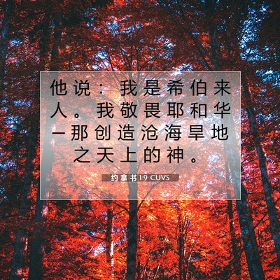 Picture 07 - 约 拿 书 1:9 CUVS - 他 说 ： 我 是 希 伯 来 人 。 我 敬 - Bible Verse Picture