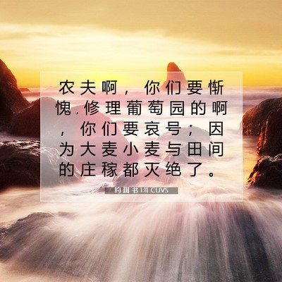 Picture 07 - 约 珥 书 1:11 CUVS - 农 夫 啊 ， 你 们 要 惭 愧 , 修 理 葡 - Bible Verse Picture