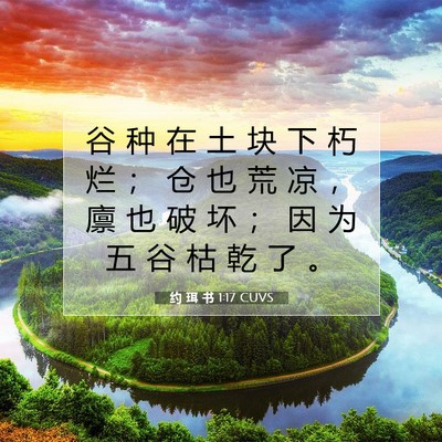 Picture 07 - 约 珥 书 1:17 CUVS - 谷 种 在 土 块 下 朽 烂 ； 仓 也 荒 - Bible Verse Picture