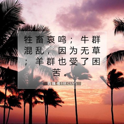 Picture 07 - 约 珥 书 1:18 CUVS - 牲 畜 哀 鸣 ； 牛 群 混 乱 ， 因 为 - Bible Verse Picture