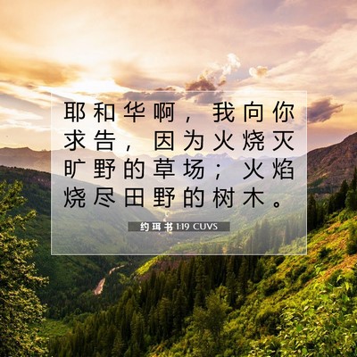 Picture 07 - 约 珥 书 1:19 CUVS - 耶 和 华 啊 ， 我 向 你 求 告 ， 因 - Bible Verse Picture