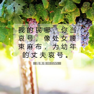 Picture 07 - 约 珥 书 1:8 CUVS - 我 的 民 哪 ， 你 当 哀 号 ， 像 处 - Bible Verse Picture