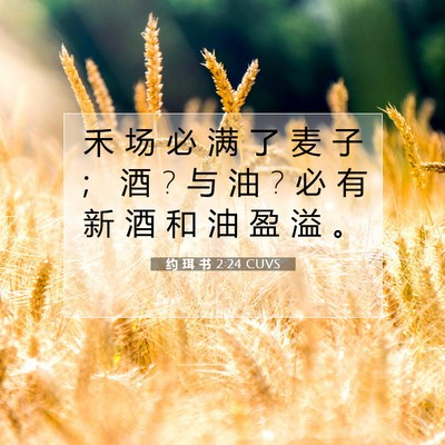 Picture 07 - 约 珥 书 2:24 CUVS - 禾 场 必 满 了 麦 子 ； 酒 ? 与 油 ? - Bible Verse Picture