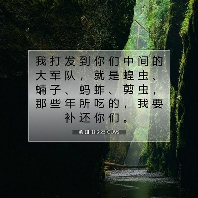 Picture 07 - 约 珥 书 2:25 CUVS - 我 打 发 到 你 们 中 间 的 大 军 队 - Bible Verse Picture