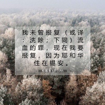 Picture 07 - 约 珥 书 3:21 CUVS - 我 未 曾 报 复 （ 或 译 ： 洗 除 ； - Bible Verse Picture
