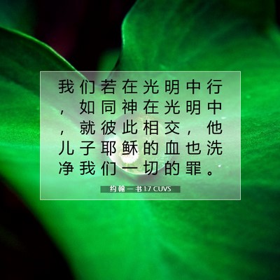 Picture 07 - 约 翰 一 书 1:7 CUVS - 我 们 若 在 光 明 中 行 ， 如 同 神 - Bible Verse Picture