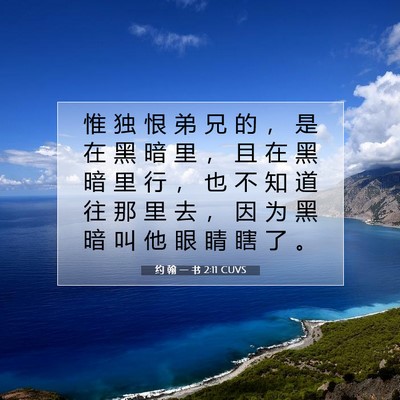 Picture 07 - 约 翰 一 书 2:11 CUVS - 惟 独 恨 弟 兄 的 ， 是 在 黑 暗 里 - Bible Verse Picture