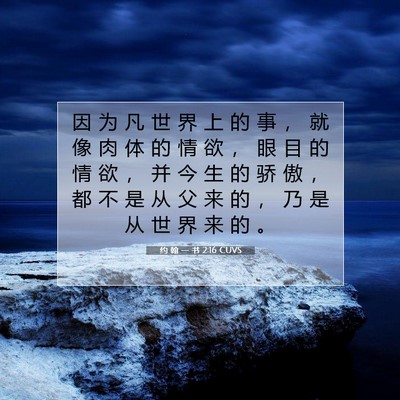 Picture 07 - 约 翰 一 书 2:16 CUVS - 因 为 凡 世 界 上 的 事 ， 就 像 肉 - Bible Verse Picture