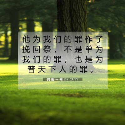 Picture 07 - 约 翰 一 书 2:2 CUVS - 他 为 我 们 的 罪 作 了 挽 回 祭 ， - Bible Verse Picture