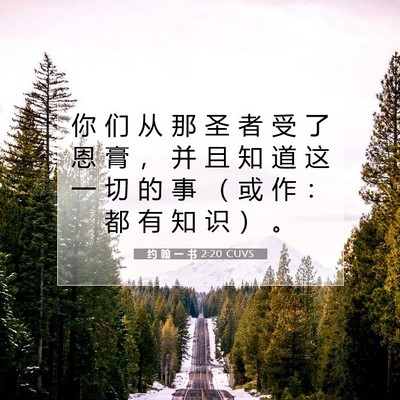 Picture 07 - 约 翰 一 书 2:20 CUVS - 你 们 从 那 圣 者 受 了 恩 膏 ， 并 - Bible Verse Picture
