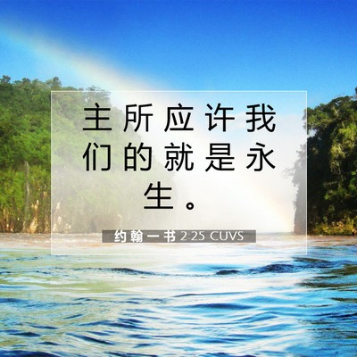 Picture 07 - 约 翰 一 书 2:25 CUVS - 主 所 应 许 我 们 的 就 是 永 生 - Bible Verse Picture
