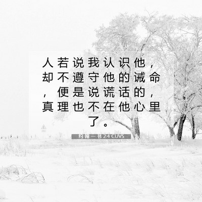 Picture 07 - 约 翰 一 书 2:4 CUVS - 人 若 说 我 认 识 他 ， 却 不 遵 守 - Bible Verse Picture
