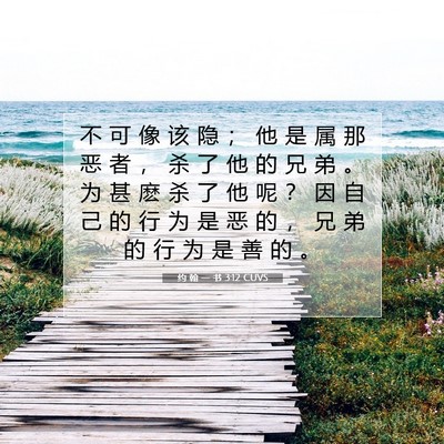 Picture 07 - 约 翰 一 书 3:12 CUVS - 不 可 像 该 隐 ； 他 是 属 那 恶 者 - Bible Verse Picture