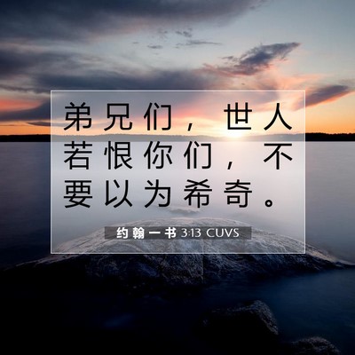 Picture 07 - 约 翰 一 书 3:13 CUVS - 弟 兄 们 ， 世 人 若 恨 你 们 ， 不 - Bible Verse Picture