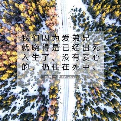 Picture 07 - 约 翰 一 书 3:14 CUVS - 我 们 因 为 爱 弟 兄 ， 就 晓 得 是 - Bible Verse Picture