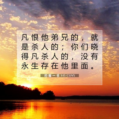 Picture 07 - 约 翰 一 书 3:15 CUVS - 凡 恨 他 弟 兄 的 ， 就 是 杀 人 的 - Bible Verse Picture