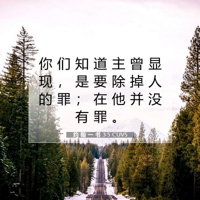 Picture 07 - 约 翰 一 书 3:5 CUVS - 你 们 知 道 主 曾 显 现 ， 是 要 除 - Bible Verse Picture