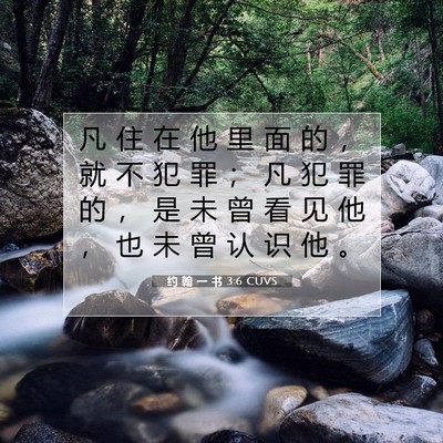 Picture 07 - 约 翰 一 书 3:6 CUVS - 凡 住 在 他 里 面 的 ， 就 不 犯 罪 - Bible Verse Picture