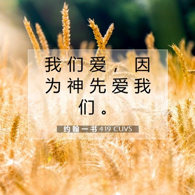 Picture 07 - 约 翰 一 书 4:19 CUVS - 我 们 爱 ， 因 为 神 先 爱 我 们 - Bible Verse Picture