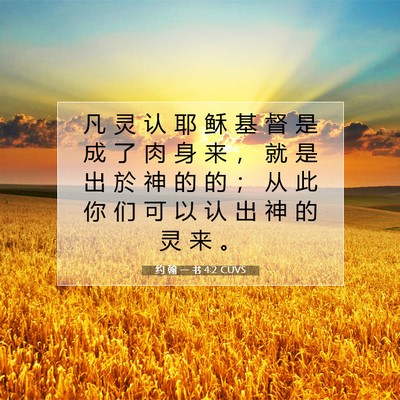 Picture 07 - 约 翰 一 书 4:2 CUVS - 凡 灵 认 耶 稣 基 督 是 成 了 肉 身 - Bible Verse Picture