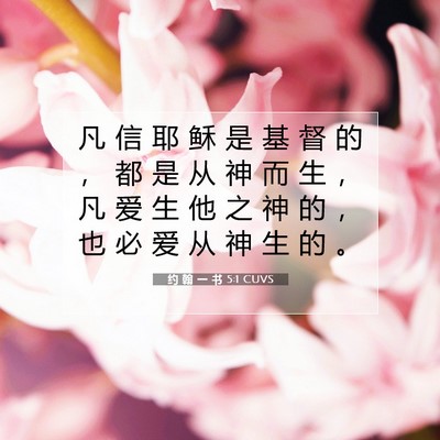 Picture 07 - 约 翰 一 书 5:1 CUVS - 凡 信 耶 稣 是 基 督 的 ， 都 是 从 - Bible Verse Picture