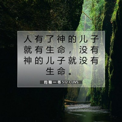 Picture 07 - 约 翰 一 书 5:12 CUVS - 人 有 了 神 的 儿 子 就 有 生 命 ， - Bible Verse Picture