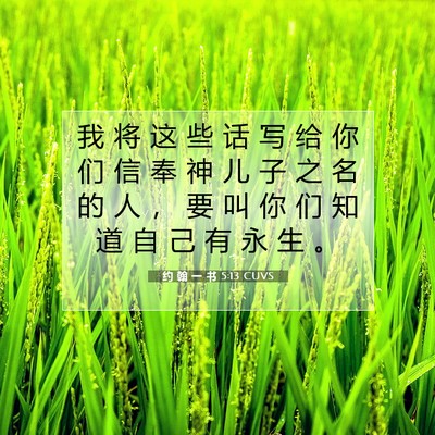 Picture 07 - 约 翰 一 书 5:13 CUVS - 我 将 这 些 话 写 给 你 们 信 奉 神 - Bible Verse Picture