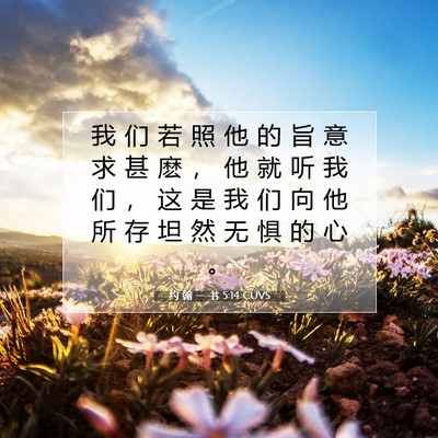 Picture 07 - 约 翰 一 书 5:14 CUVS - 我 们 若 照 他 的 旨 意 求 甚 麽 ， - Bible Verse Picture