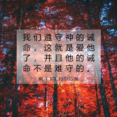 Picture 07 - 约 翰 一 书 5:3 CUVS - 我 们 遵 守 神 的 诫 命 ， 这 就 是 - Bible Verse Picture