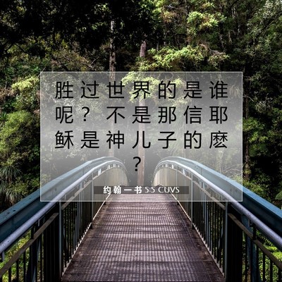 Picture 07 - 约 翰 一 书 5:5 CUVS - 胜 过 世 界 的 是 谁 呢 ？ 不 是 那 - Bible Verse Picture