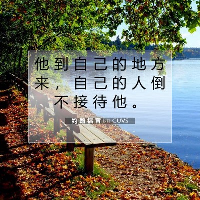Picture 07 - 约 翰 福 音 1:11 CUVS - 他 到 自 己 的 地 方 来 ， 自 己 的 - Bible Verse Picture