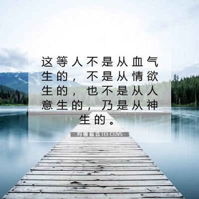 Picture 07 - 约 翰 福 音 1:13 CUVS - 这 等 人 不 是 从 血 气 生 的 ， 不 - Bible Verse Picture