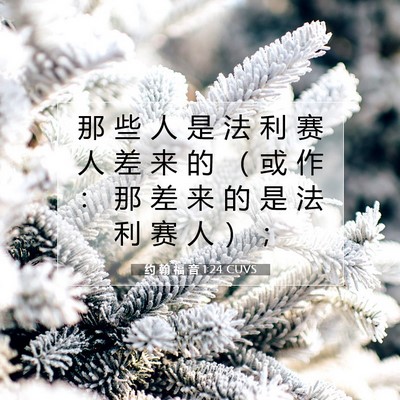 Picture 07 - 约 翰 福 音 1:24 CUVS - 那 些 人 是 法 利 赛 人 差 来 的 （ - Bible Verse Picture