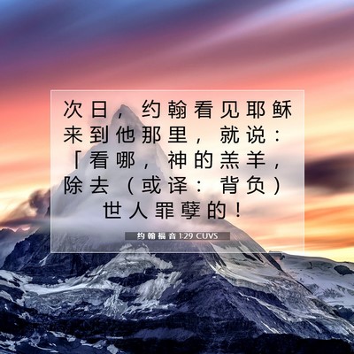 Picture 07 - 约 翰 福 音 1:29 CUVS - 次 日 ， 约 翰 看 见 耶 稣 来 到 他 - Bible Verse Picture