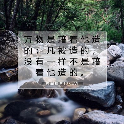 Picture 07 - 约 翰 福 音 1:3 CUVS - 万 物 是 藉 着 他 造 的 ； 凡 被 造 - Bible Verse Picture