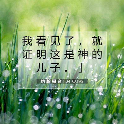 Picture 07 - 约 翰 福 音 1:34 CUVS - 我 看 见 了 ， 就 证 明 这 是 神 的 - Bible Verse Picture