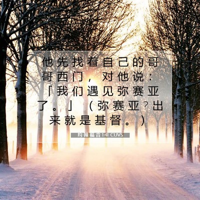 Picture 07 - 约 翰 福 音 1:41 CUVS - 他 先 找 着 自 己 的 哥 哥 西 门 ， - Bible Verse Picture