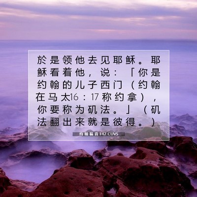 Picture 07 - 约 翰 福 音 1:42 CUVS - 於 是 领 他 去 见 耶 稣 。 耶 稣 看 - Bible Verse Picture