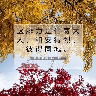 Picture 07 - 约 翰 福 音 1:44 CUVS - 这 腓 力 是 伯 赛 大 人 ， 和 安 得 - Bible Verse Picture