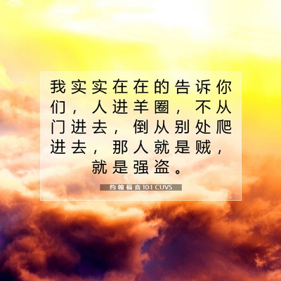 Picture 07 - 约 翰 福 音 10:1 CUVS - 我 实 实 在 在 的 告 诉 你 们 ， 人 - Bible Verse Picture