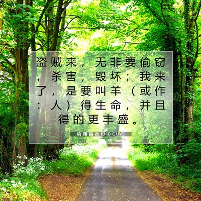 Picture 07 - 约 翰 福 音 10:10 CUVS - 盗 贼 来 ， 无 非 要 偷 窃 ， 杀 害 - Bible Verse Picture
