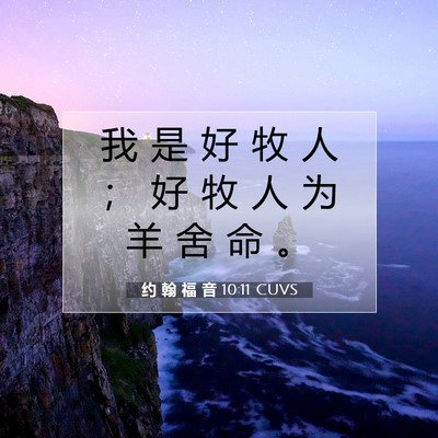 Picture 07 - 约 翰 福 音 10:11 CUVS - 我 是 好 牧 人 ； 好 牧 人 为 羊 舍 - Bible Verse Picture