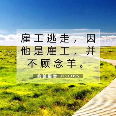 Picture 07 - 约 翰 福 音 10:13 CUVS - 雇 工 逃 走 ， 因 他 是 雇 工 ， 并 - Bible Verse Picture