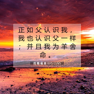 Picture 07 - 约 翰 福 音 10:15 CUVS - 正 如 父 认 识 我 ， 我 也 认 识 父 - Bible Verse Picture