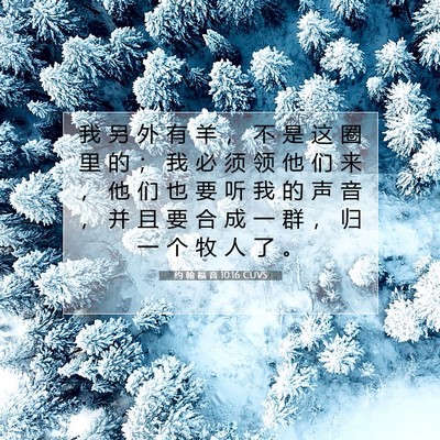 Picture 07 - 约 翰 福 音 10:16 CUVS - 我 另 外 有 羊 ， 不 是 这 圈 里 的 - Bible Verse Picture