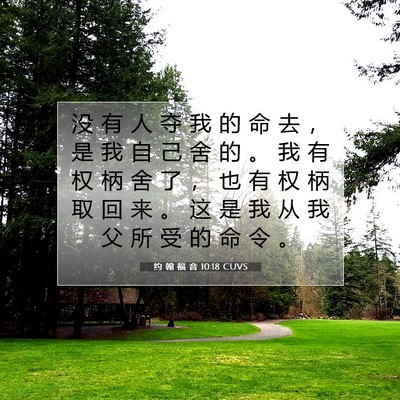Picture 07 - 约 翰 福 音 10:18 CUVS - 没 有 人 夺 我 的 命 去 ， 是 我 自 - Bible Verse Picture